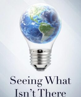 Seeing What Isnt There - A Leaders Guide to Creating Change in a Complex World