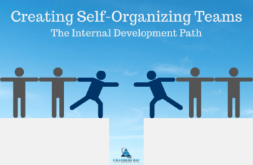 creating self-organizing treams